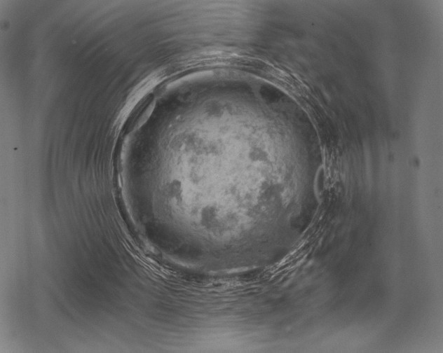 X0000068830099200605051246