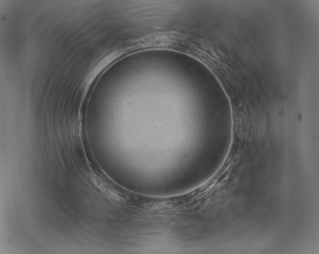 X0000068830100200605051246