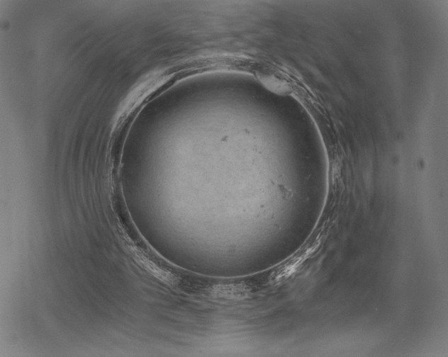 X0000068830101200605051246