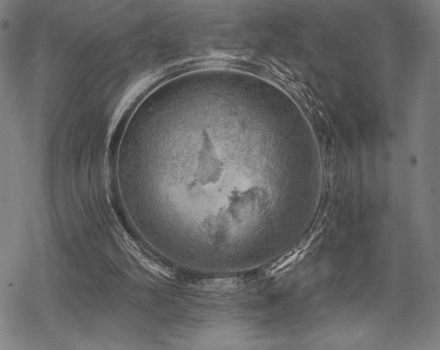 X0000068830102200605051246