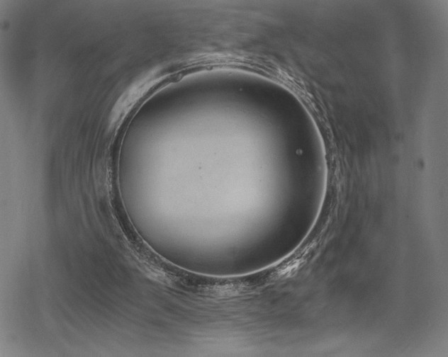 X0000068830103200605051246