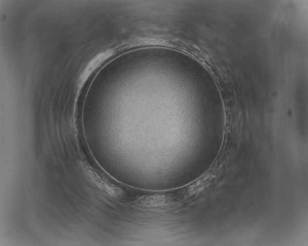 X0000068830104200605051246