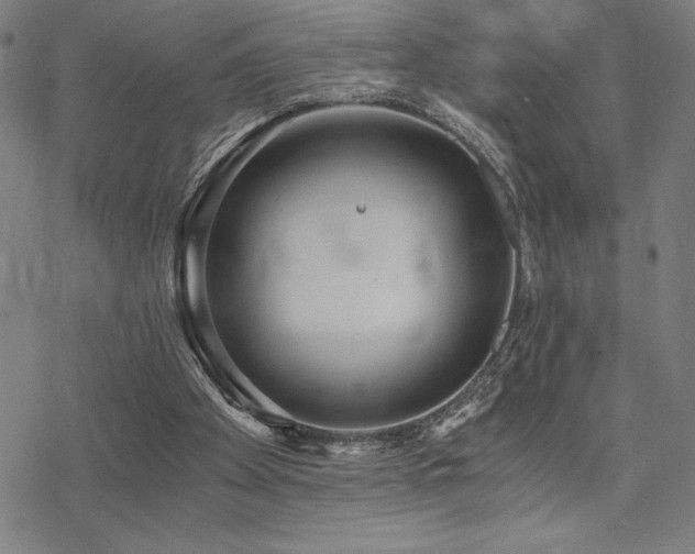 X0000068830105200605051246