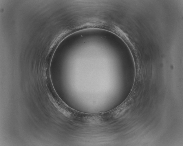 X0000068830106200605051246