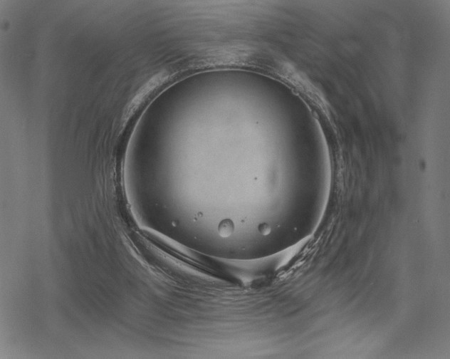 X0000068830107200605051246