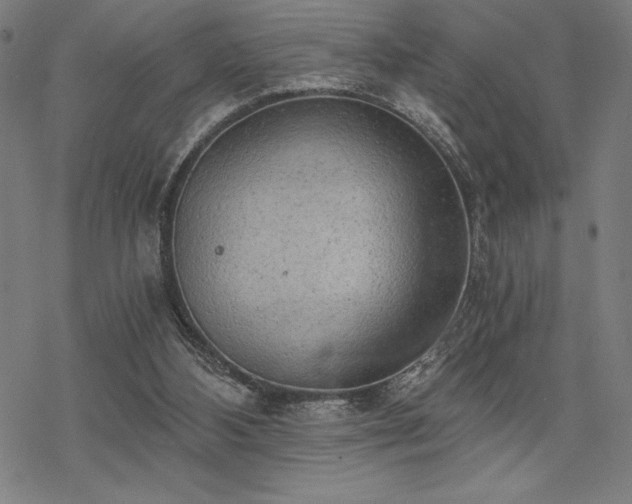 X0000068830108200605051246