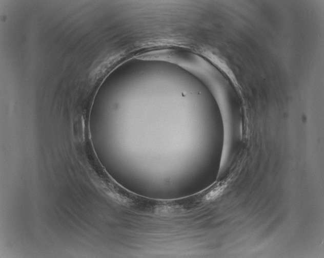 X0000068830109200605051246