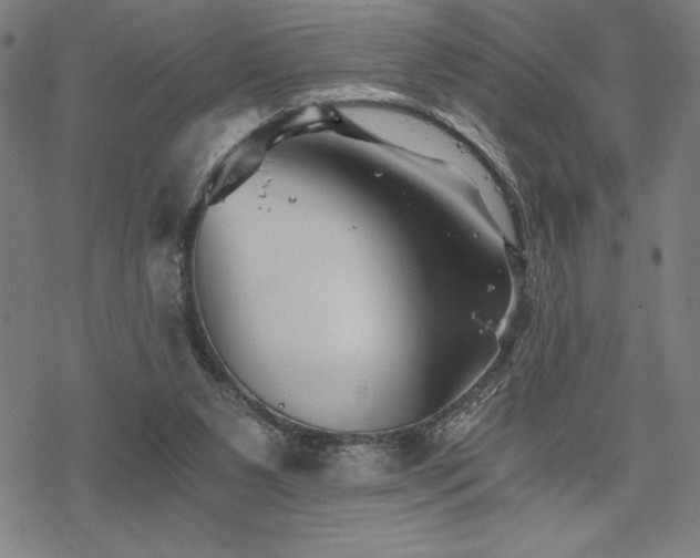 X0000068830111200605051246