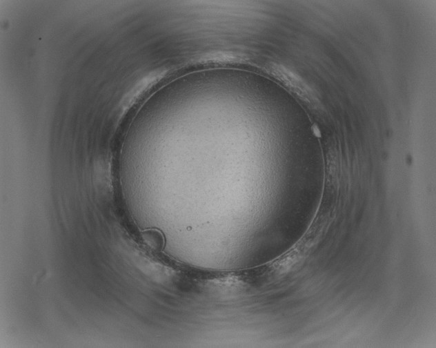 X0000068830112200605051246