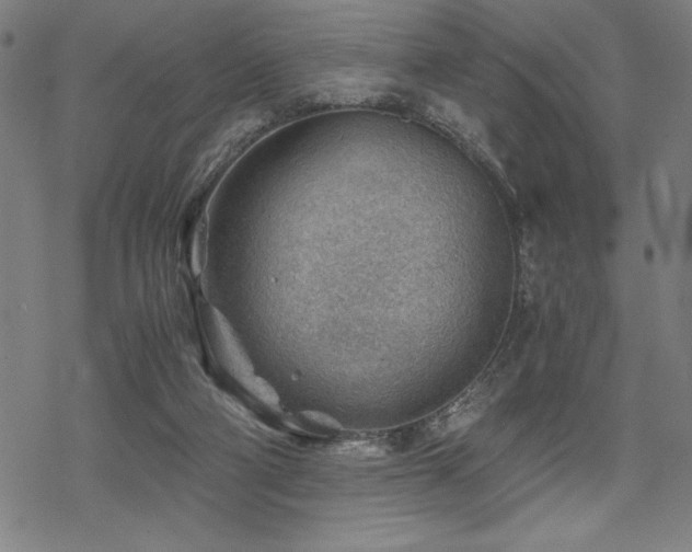 X0000068830114200605051246