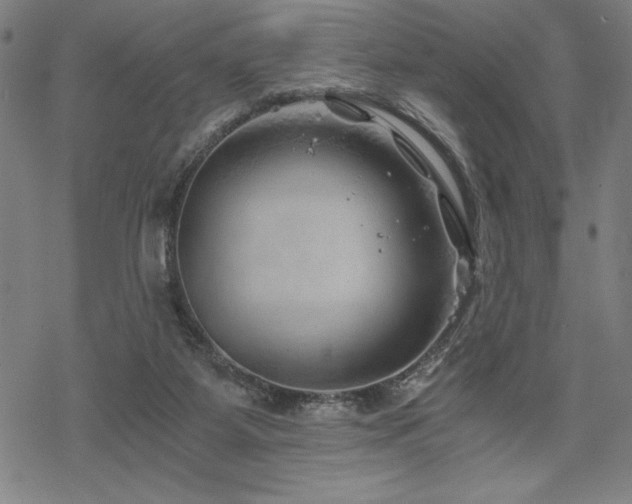 X0000068830115200605051246