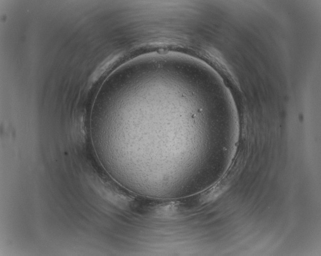 X0000068830116200605051246