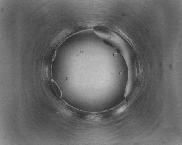 X0000068830117200605051246