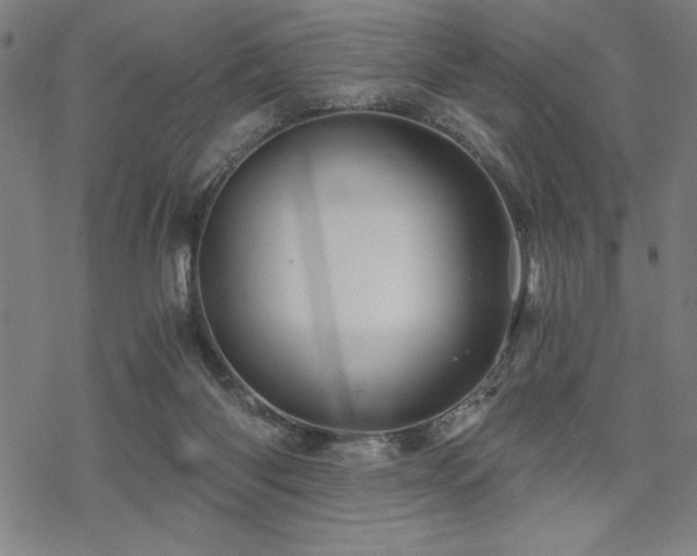 X0000068830118200605051246