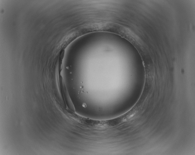 X0000068830119200605051246