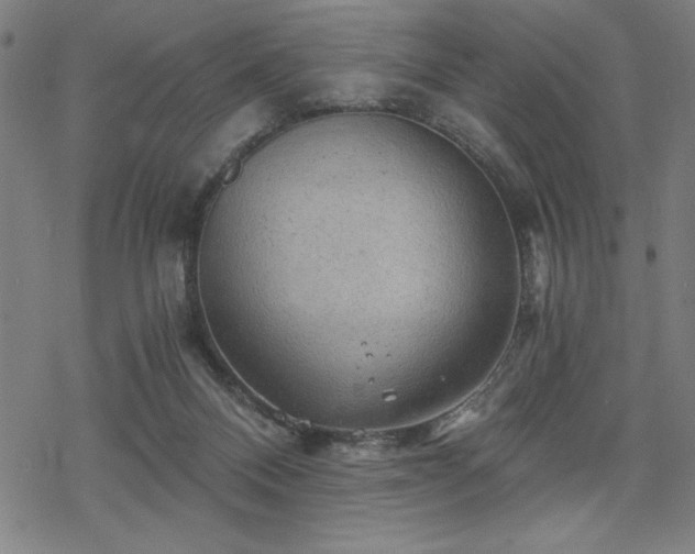 X0000068830120200605051246