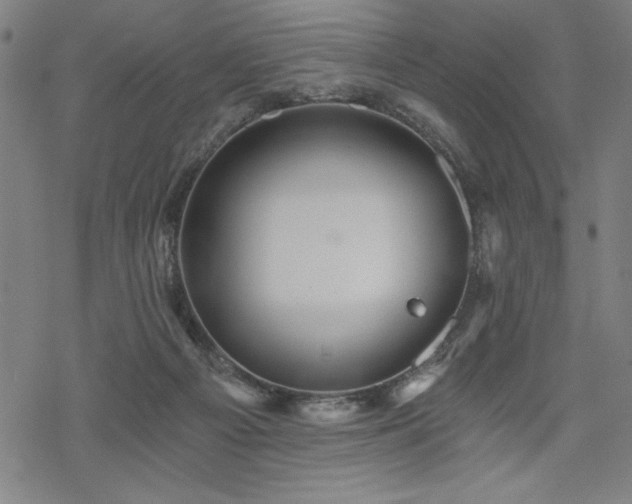 X0000068830121200605051246