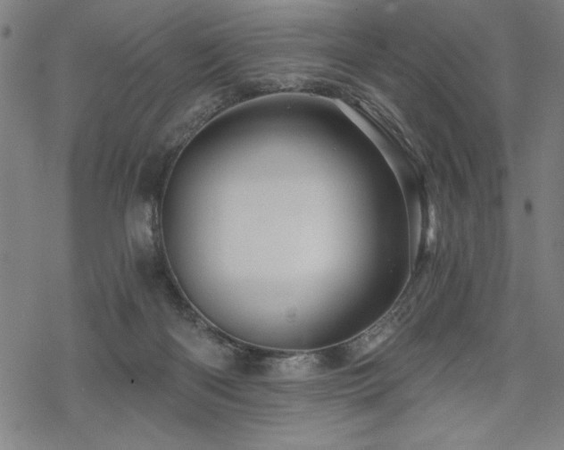 X0000068830122200605051246