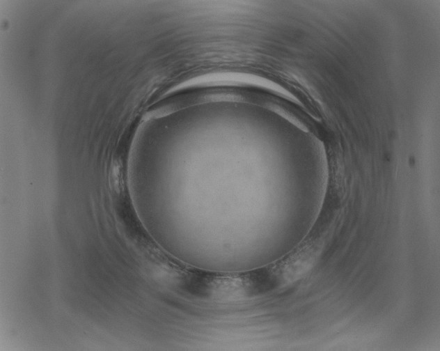 X0000068830123200605051246