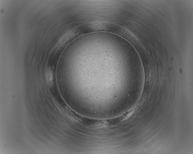 X0000068830124200605051246