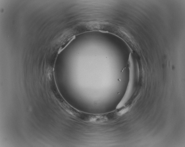 X0000068830125200605051246