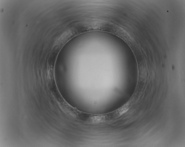 X0000068830126200605051246