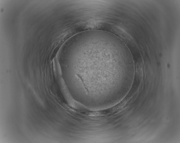 X0000068830127200605051246