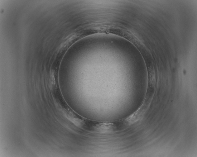 X0000068830128200605051246