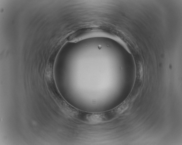 X0000068830129200605051246