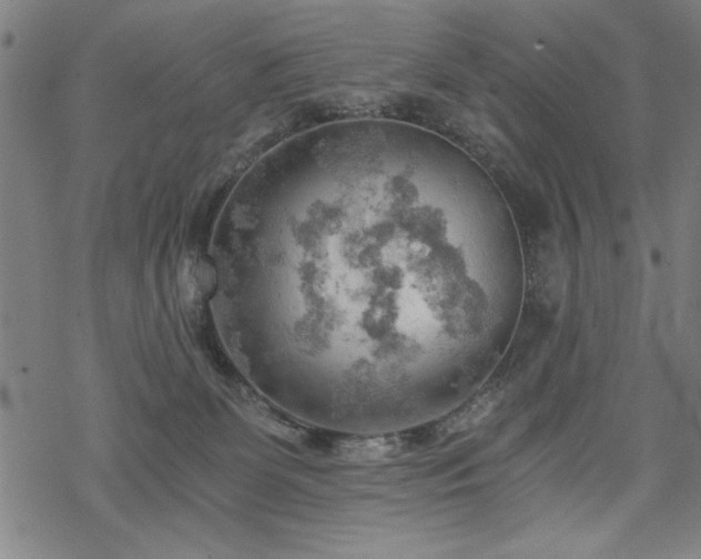 X0000068830131200605051246