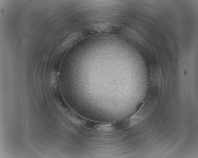 X0000068830132200605051246