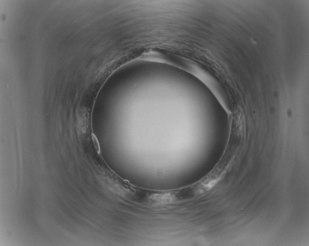 X0000068830133200605051246