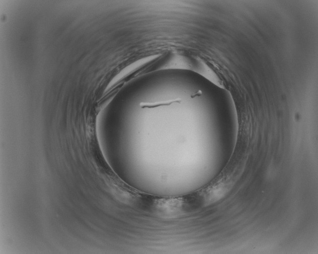 X0000068830135200605051246