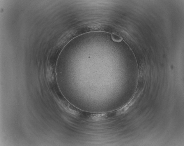 X0000068830136200605051246