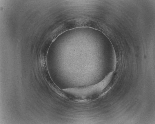 X0000068830137200605051246