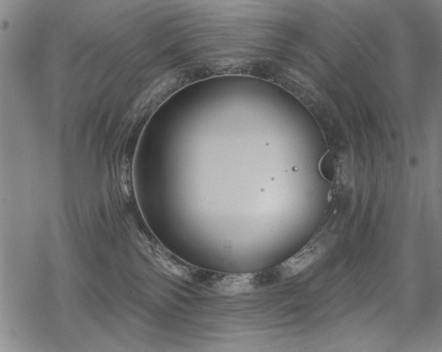 X0000068830138200605051246