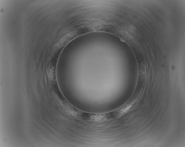 X0000068830139200605051246