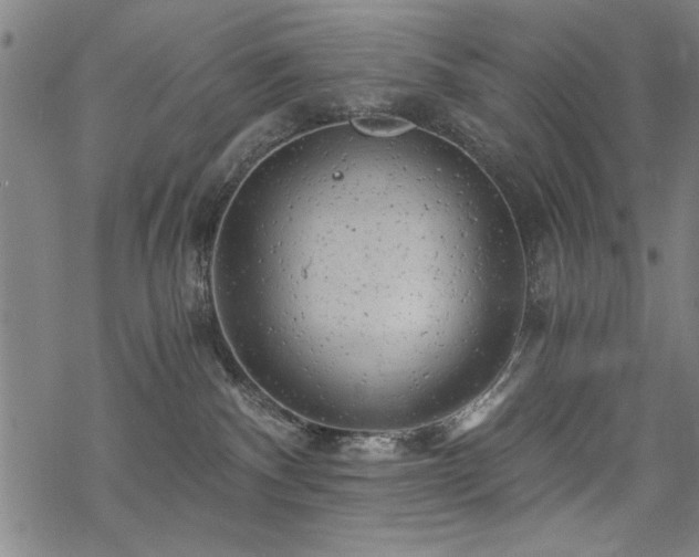 X0000068830140200605051246