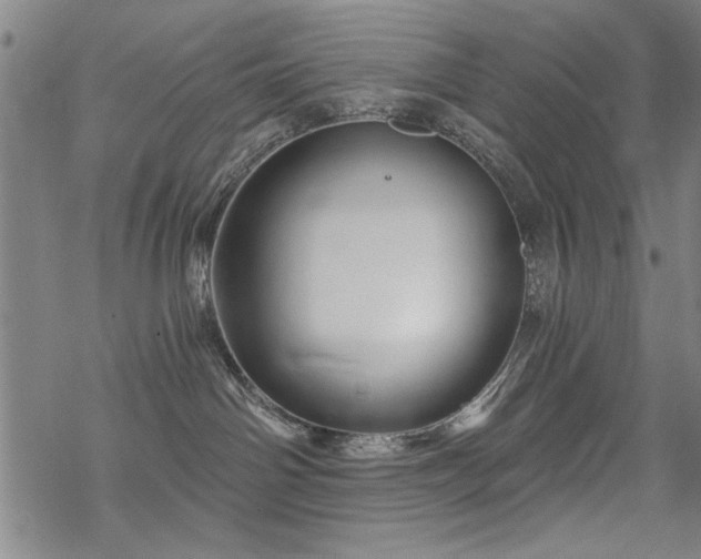 X0000068830142200605051246