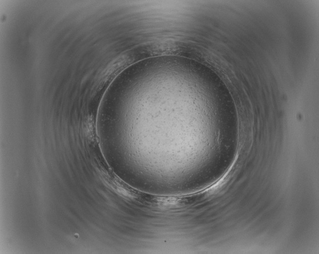 X0000068830144200605051246