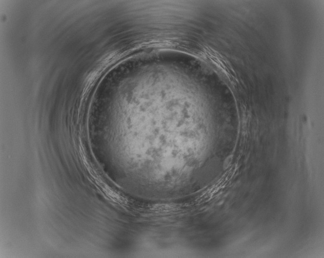 X0000068830145200605051245