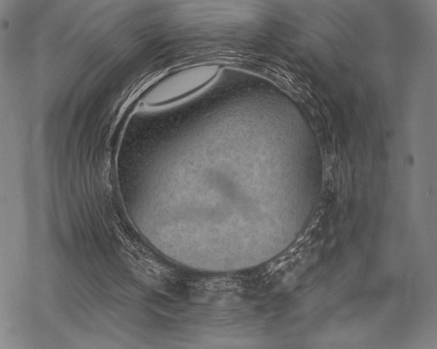 X0000068830146200605051245