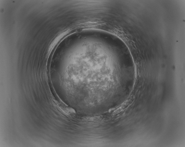 X0000068830147200605051245