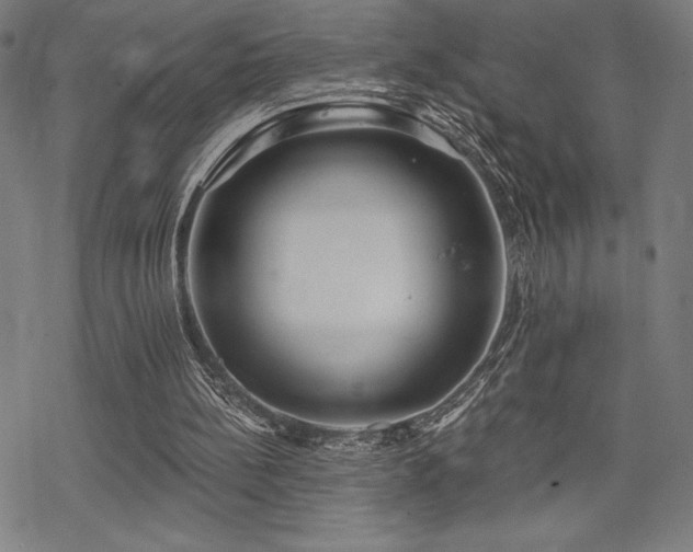 X0000068830148200605051245