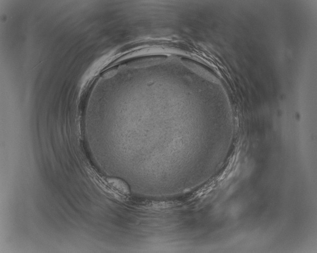 X0000068830149200605051245