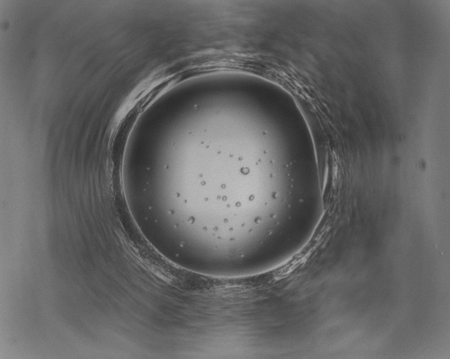 X0000068830150200605051245