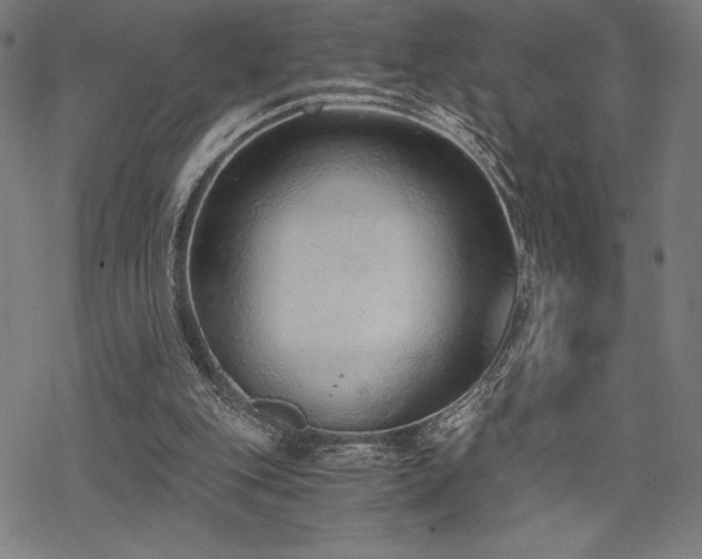 X0000068830151200605051245