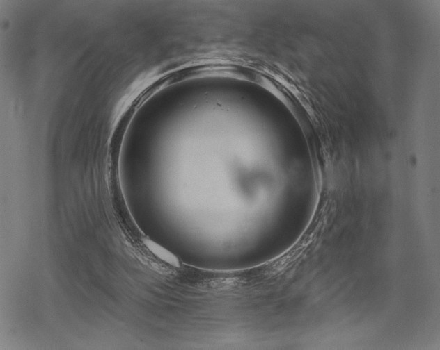 X0000068830152200605051245