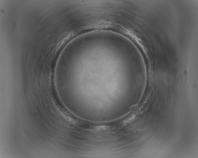 X0000068830153200605051245