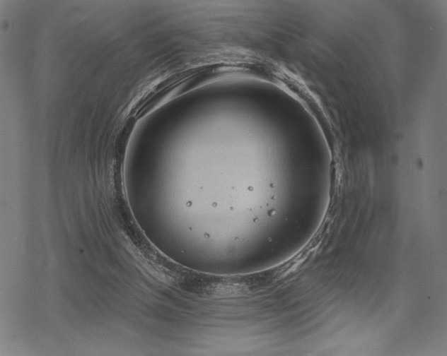 X0000068830154200605051245